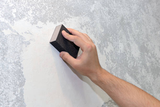 Best Attic Mold Removal  in Deforest, WI