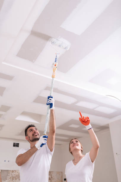 Best Mold Documentation for Insurance Claims  in Deforest, WI