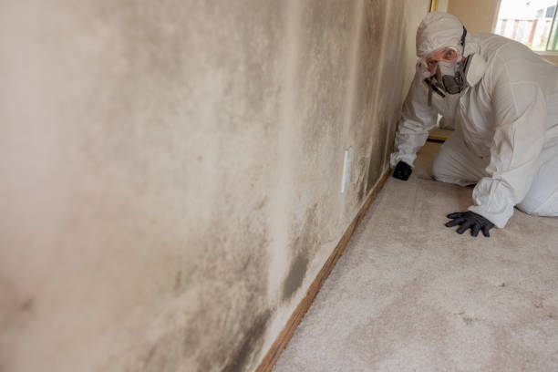 Best Asbestos and Lead Testing During Mold Inspection  in Deforest, WI